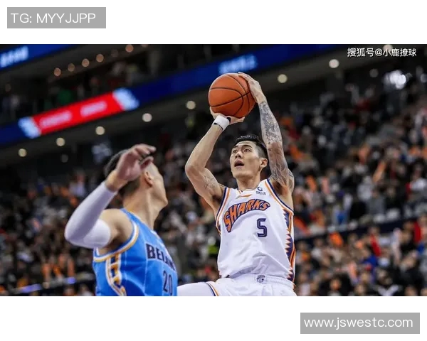 刘铮的奋斗人生与篮球梦想如何在赛场与生活中交织成辉